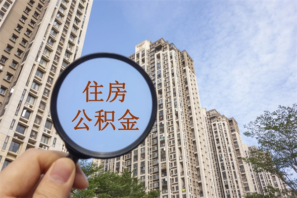 伊犁离职可以取出公积金吗（离职可以取公积金嘛）